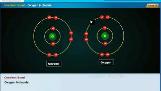 Covalent Bond Chemical Bonding Class 10 Physics [upl. by Hoag242]