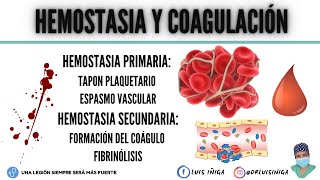 Hemostasia y Coagulación Tapón plaquetario Mecanismo general Vía intrínseca y extrínseca [upl. by Elfstan]