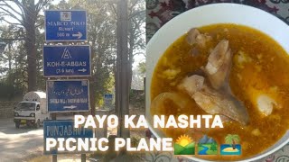 Payo ka nashta ur sath hi picnic 🏝️🏞️daily vlog journey with fari12 k sath [upl. by Suneya]