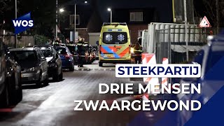 Steekpartij op straat in Honselersdijk [upl. by Ssecnirp498]