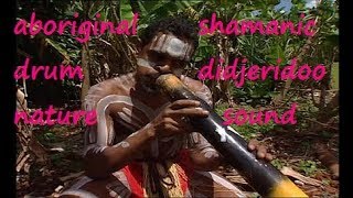 Musica shamanica aborigena didgeridoo tamburo suoni foresta riti guarigione Shamanic soul [upl. by Reena44]