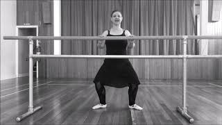 Introduction to Demi Plie knee bends in ballet [upl. by Sleinad674]