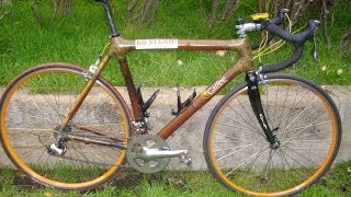 Bamboo Bicycle Longterm Review [upl. by Adilen]