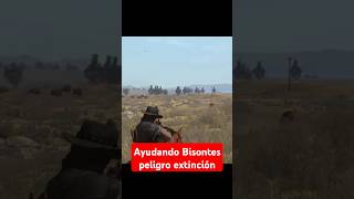 Ultimos bisontes rdr1 rdr2 reddeadredemption game extinción caza animales fyp l3jez [upl. by Oatis]