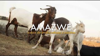 Kabza De Small amp Mthunzi  Amazwe feat MaWhoo Official Music Video [upl. by Ynhoj]