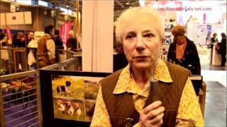 Epagneul Breton  Reportage au salon de lAgriculture [upl. by Charmaine77]