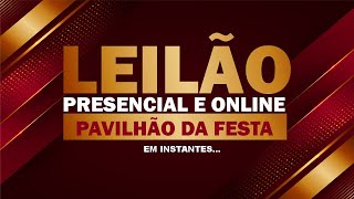 LEILÃO PRESENCIAL E ONLINE DE SÃO SERVERINO MÁRTIR  16112024 INFORMAÇÕES 8499938  6441 [upl. by Araek]