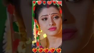 ✿⁠☉⁠｡⁠☉chintu panday sad status song love music bhojpuri newsong trending trendingshorts sad [upl. by Drapehs]