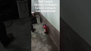 Pest Control Services for Rodent Control done by Pest Control Services And Products at Akrabad [upl. by Miguela16]