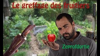 Comment faire du greffage de fruitiers facilement  greffagedefruitiers [upl. by Ahsiad]