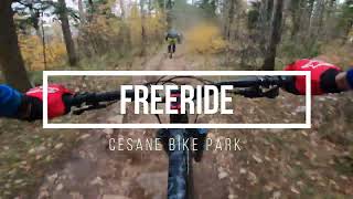 Freeride  Cesane Bike Park [upl. by Luhar]