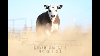 Rathmann Show Cattles 2022 Sale Preview [upl. by Tehcac378]