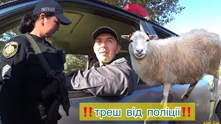 ‼️ПОВНИЙ КРІНЖ‼️ СРАВ ПЕС ПЕРДІЛИ ГУСИ✅ ПОЛІЦІЯ ЛЬВОВА [upl. by Gamal]