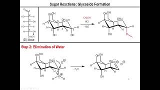 Lec10  Alkylation and Acetylation of Sugars [upl. by Sillad458]