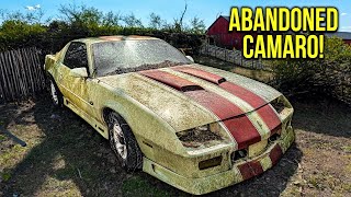 First Wash in 20 Years ABANDONED Camaro RS  Car Detailing Restoration [upl. by Arjun527]