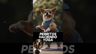 Perritos haciendo Yoga perros amorperruno perroamor [upl. by Zachery]