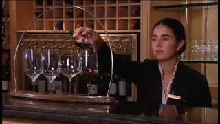 Discover The Wines of Chile Part 1 of 2 [upl. by Repotsirhc962]