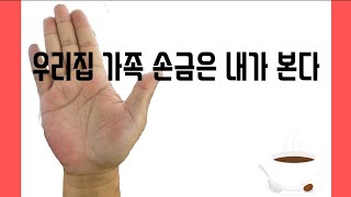 두뇌선 기초1 나의 직업과 성격은  파란만장한 삶을 살것인가 [upl. by Hardigg]