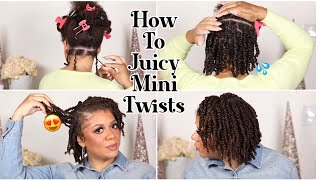 How To Do MINI TWISTS On Natural Hair As A Protective Style  For Hair Growth No Added Hair [upl. by Kerr919]