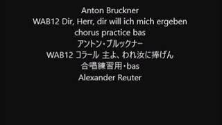 Anton Bruckner WAB12 Dir Herr dir will ich mich ergeben chorus practice bas [upl. by Damal]