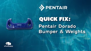 Pentair Kreepy Krauly Dorado Bumper and Weights  Quick Fix [upl. by Gnohp]