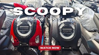 NEW SCOOPY 2025 ALL TYPE VARIAN amp PRICE OTR LAMONGAN [upl. by Alhak]