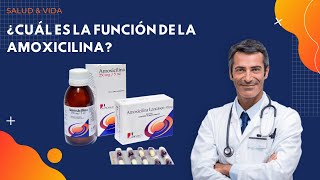 💊💉 ¿Cuál es la FUNCION de la Amoxicilina [upl. by Docile]