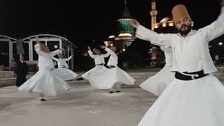 Whirling Dervish Ceremony [upl. by Yendroc]