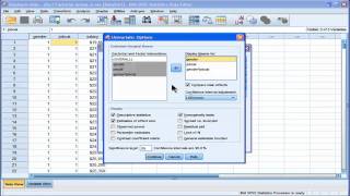 Two Way ANOVA  SPSS part 2 [upl. by Eresed]