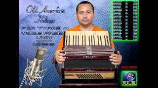 Demo IULIK Old Accordeon HOHNER for Tyros 4 FREE wwworgaforumro [upl. by Ennovyahs]