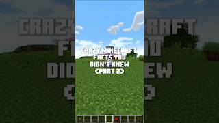 Minecraft FACTS Nobody Talks About [upl. by Nyrad]