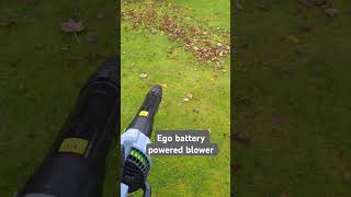 Using the Ego blower today See what you think gardeningtools blowers garden leaves autumn me [upl. by Higbee]