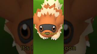 Shiny Zigzagoon epicencounterchallenge zigzagoon [upl. by Bartolome]