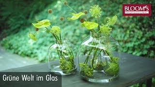 Trend Floralien im Glas  Floral Design  BLOOM’s Floristik [upl. by Nivek]