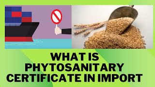 What is Phytosanitary certificate in import [upl. by Ahtebat]