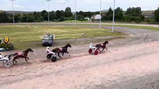 Non Whip Race Amman Valley 13th July 2024 [upl. by Redvers]