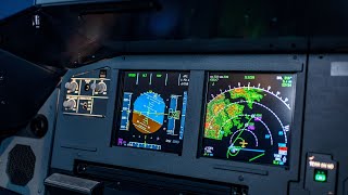 SHOCKING Turbulence Heavy Rain and Low Visibility on Final Approach  Airbus A321neo [upl. by Leahcimdivad]