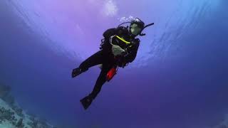 Super Scuba Divers in the RED SEA [upl. by Gualtiero]