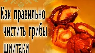 Как правильно чистить грибы шиитаки How to properly clean shiitake [upl. by Azeret]