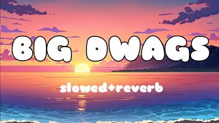 Big Dwags  SlowedReverb  Chill Beats [upl. by Annor]