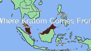 Where Kratom Comes From [upl. by Hopkins]