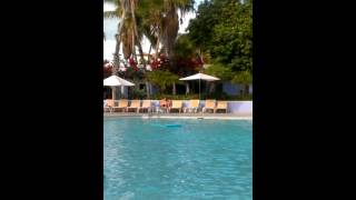 Beaches Resort Turks amp Caicos  Caribbean Pool [upl. by Lorinda]