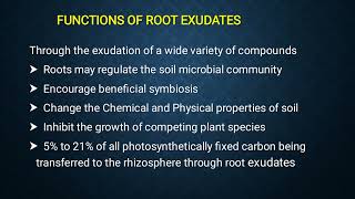 Root Exudates [upl. by Scotty]