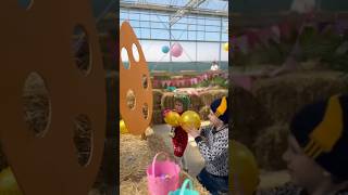 Easter Games eastereggshunt shorts HappyEaster [upl. by Edy]