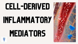 CELLDERIVED INFLAMMATORY MEDIATORS  Functions amp Roles in the Inflammatory Response [upl. by Yrrad]