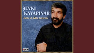 Güzel Ne Güzel Olmuşsun [upl. by Kippie28]