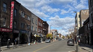 Montreal 🇨🇦 8Nov2024 Walking around 🍁 [upl. by Fidelity643]