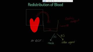 Edexcel GCSE PE  Redistribution of Blood [upl. by Nylasoj838]