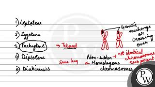 Which one is correct about crossing overgenetic recombination i It occurs in tetrad stage wh [upl. by Natty68]