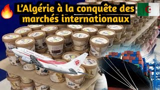 🇫🇷🇩🇿El Mordjene  Le trésor caché des exportations algériennes [upl. by Domonic]